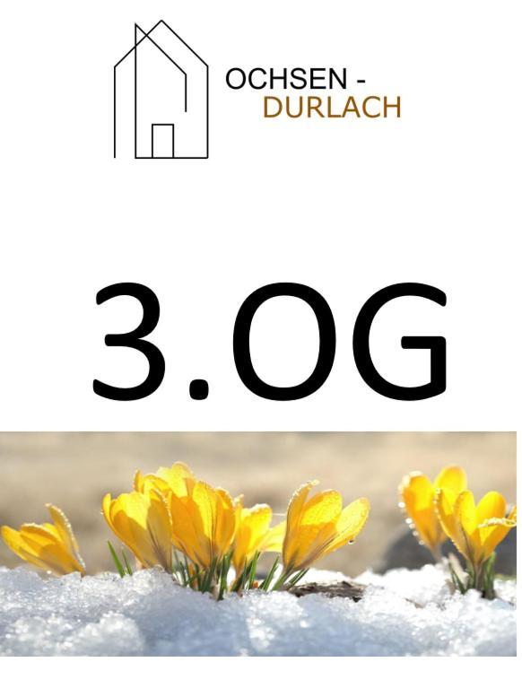 Ochsen-Durlach Karlsruhe Rom bilde